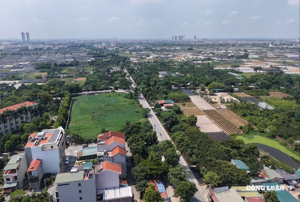 dji_20250920113201_0004_d.jpg