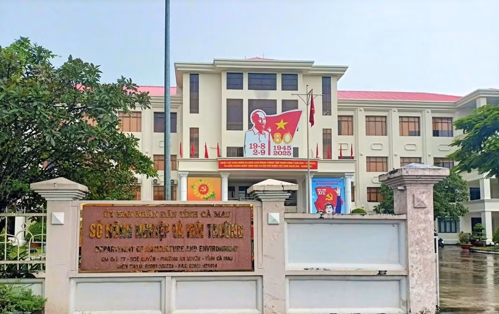 68c114d108dcb36fd59be18f.jpg