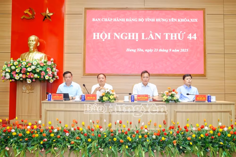 hội nghị
