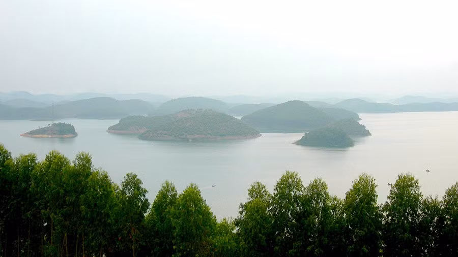 rừng vung fhoof Thác Bà Lào Cai
