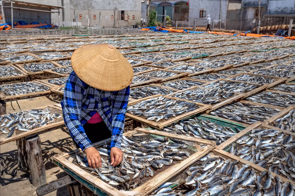 Người dân nuôi trồng, sản xuất thủy sản. Ảnh minh họa.