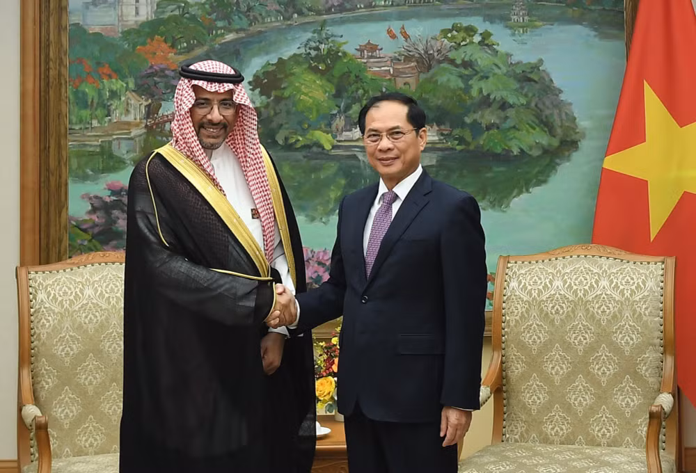 Phó Thủ tướng Bùi Thanh Sơn tiếp Bộ trưởng Công nghiệp và Khoáng sản Saudi Arabia- Ảnh 1.