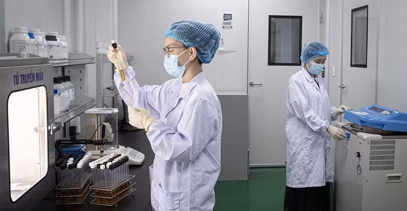 Cơ chế, chính sách thu hút chuyên gia khoa học, công nghệ, đổi mới sáng tạo và chuyển đổi số- Ảnh 1.