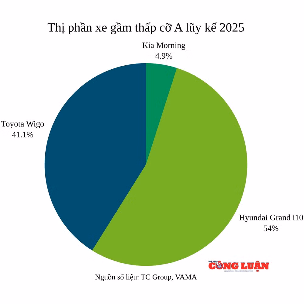 thi-phan-xe-gam-thap-co-a-luy-ke-8-thang-2025.jpg