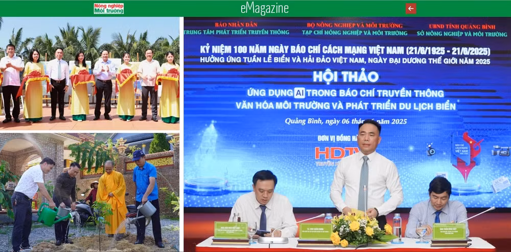anh 222