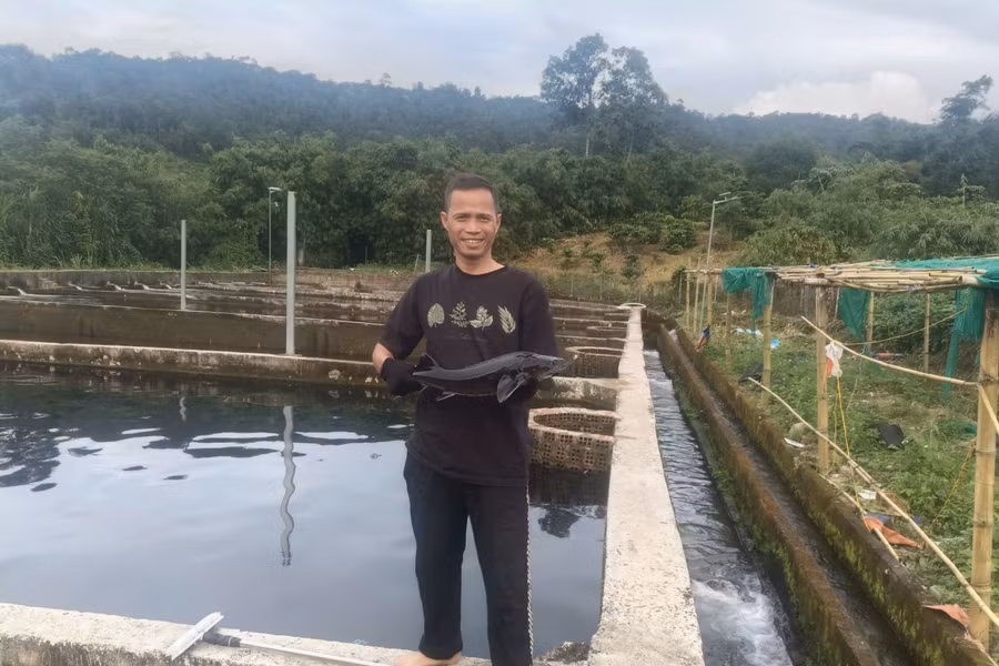 Gia Lai: Nuôi cá tầm ở vùng núi sâu, nông dân thu tiền tỷ mỗi năm