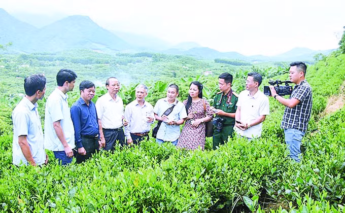 Đoàn thực tế do Hội Nhà báo tổ chức làm việc tại Vùng sản xuất cây ăn quả tập trung xã Phúc Thuận.