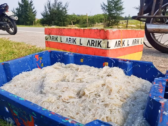 Ngư dân gặp được luồng cá mờm, thu về tiền triệu