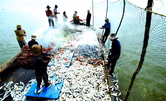 Việc lập quy hoạch còn thực hiện nhiệm vụ bảo vệ quốc phòng an ninh trên các vùng biển, hải đảo thuộc chủ quyền, quyền chủ quyền; quyền tài phán quốc gia của Việt Nam. Ảnh: thuysan.vn
