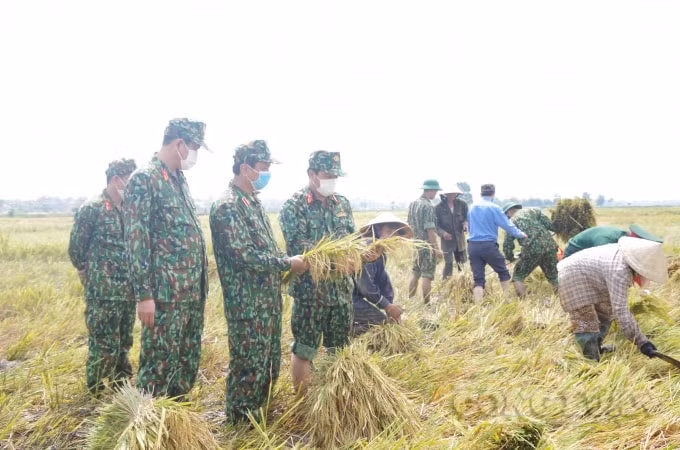 Thiếu tướng Hà Thọ Bình - Phó Tư lệnh Quân khu 4 kiểm tra, động viên cán bộ, chiến sĩ giúp dân ở thị trấn Sịa, huyện Quảng Điền.