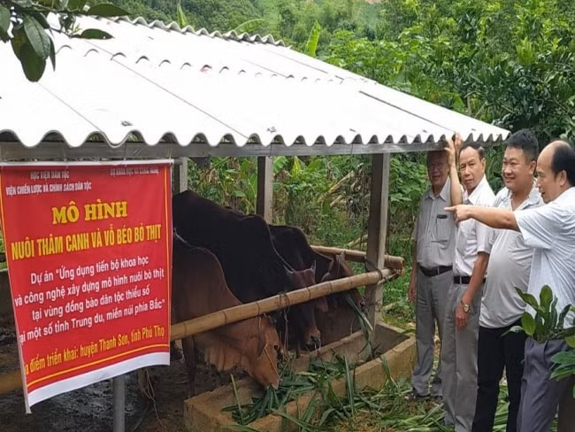 hoan thanh dut diem cac du an trong chuong trinh dan toc thieu so va mien nui hinh 1