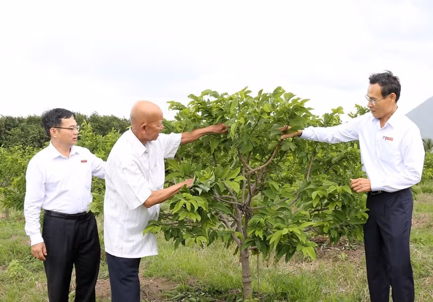 nguon von agribank chap canh cho nhung uoc mo lon cua nguoi nong dan hinh 1
