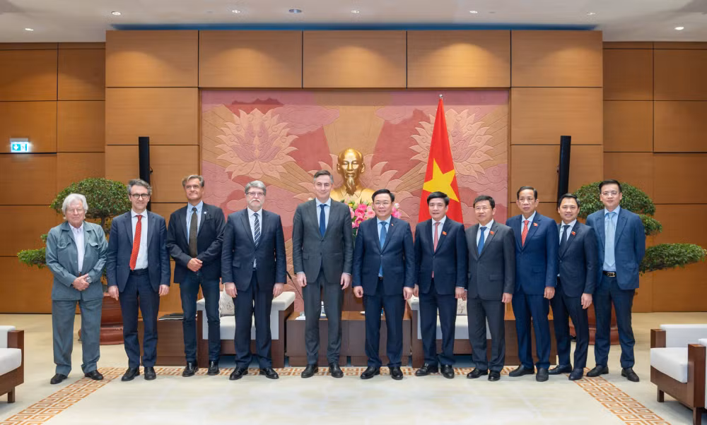 lien minh chau au la doi tac quan trong hang dau trong chinh sach doi ngoai cua viet nam hinh 3