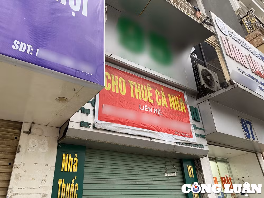 hang loat mat bang dat do tai thu do treo bien cho duoc thue hinh 4