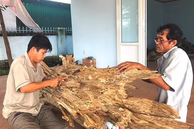 khanh hoa tung buoc xay dung diem du lich lang nghe hinh 1