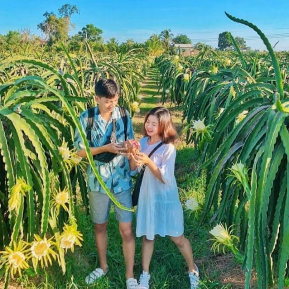 long an no luc khoi day tiem nang du lich nong thon hinh 2