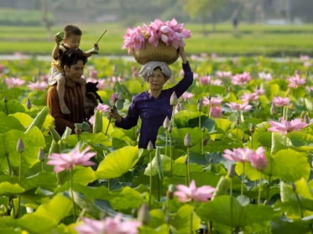 long an no luc khoi day tiem nang du lich nong thon hinh 3