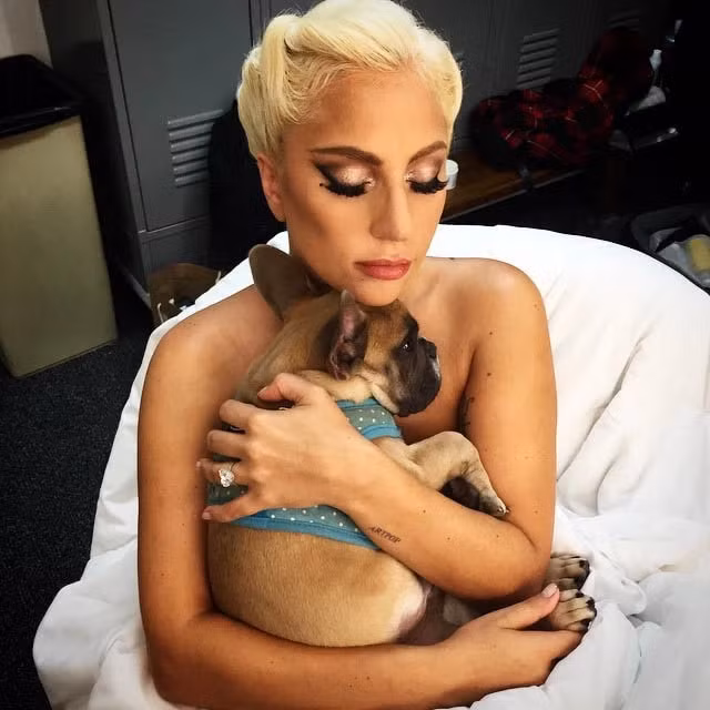 lady gaga bi dong pham cua ke trom cho kien vi khong tra tien treo thuong hinh 1