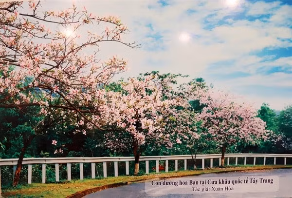 trien lam trung bay anh nghe thuat du lich dien bien hinh 3