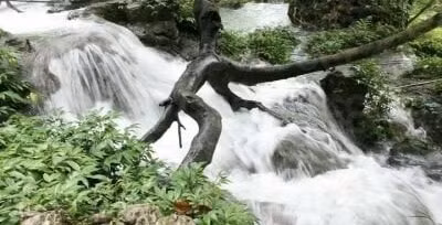 thai nguyen dinh huong phat trien du lich hang suoi mo ga hinh 2