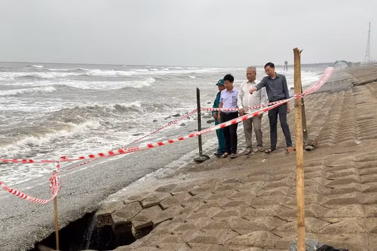 Ninh Bình phê duyệt phương án bảo vệ 6 trọng điểm đê điều xung yếu 