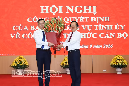 Hưng Yên: Điều động Phó Trưởng ban Tuyên giáo và Dân vận Tỉnh ủy làm Phó Bí thư Đảng ủy