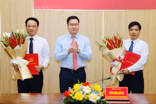Ninh Bình bổ nhiệm hai Phó Chánh Văn phòng Tỉnh ủy