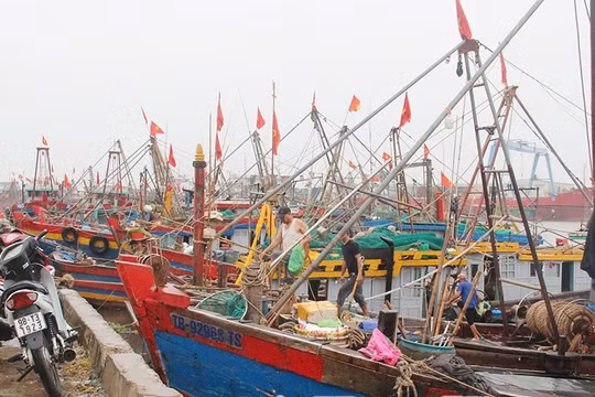Hưng Yên: Cấm biển từ 16h, yêu cầu hoàn tất neo đậu tàu thuyền trước 19h
