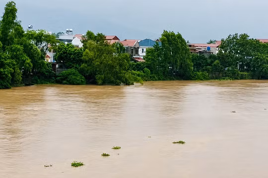 Bắc Ninh: Hơn 1.400 hộ dân phải di dời, lũ trên nhiều sông vượt báo động III