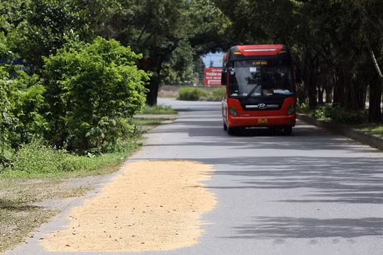 Ninh Bình: Chấn chỉnh tình trạng đốt rơm rạ, phơi nông sản chiếm lòng đường