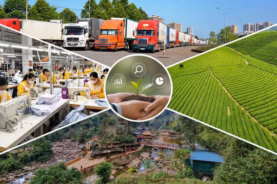 Lào Cai tăng cường theo dõi, hỗ trợ doanh nghiệp tháo gỡ khó khăn