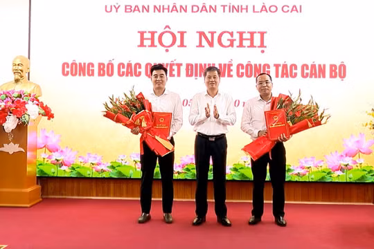 Lào Cai kiện toàn bộ máy, bổ nhiệm 3 Phó Giám đốc
