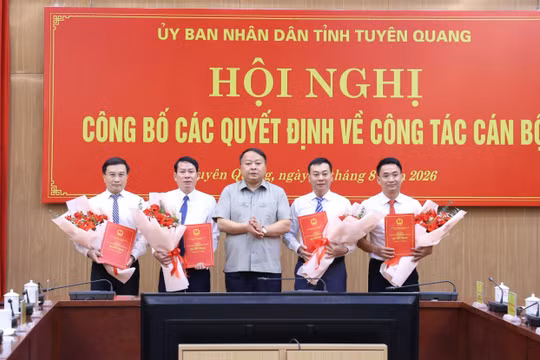 Tuyên Quang điều động, bổ nhiệm nhiều cán bộ chủ chốt