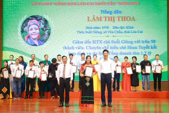 Lào Cai tôn vinh 96 nông dân xuất sắc năm 2026