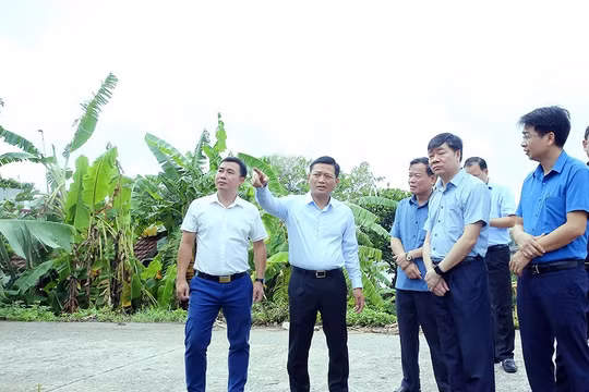 Ninh Bình: Tháo gỡ vướng mắc, đẩy nhanh giải phóng mặt bằng dự án cầu Ninh Cường