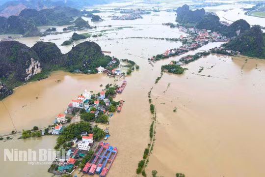 Ninh Bình khẩn trương triển khai ứng phó lũ trên sông Hoàng Long, sông Đáy