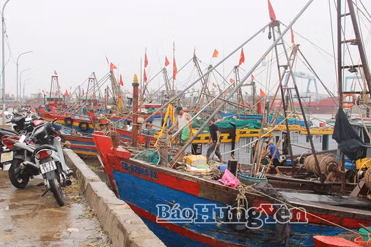 Hưng Yên khẩn trương ứng phó bão số 4, hoàn thành sơ tán vùng ven biển trước 11 giờ ngày 22/8