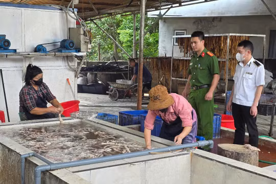 Phát hiện hơn 3 tấn ruột lợn bị mốc, bốc mùi hôi tại Bắc Ninh
