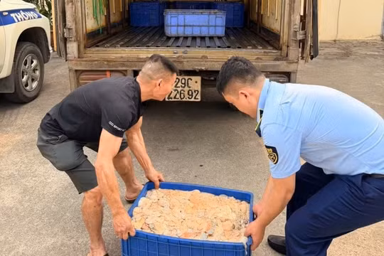 Phát hiện 480kg lòng lợn đang phân hủy, bốc mùi hôi thối trên đường đi tiêu thụ