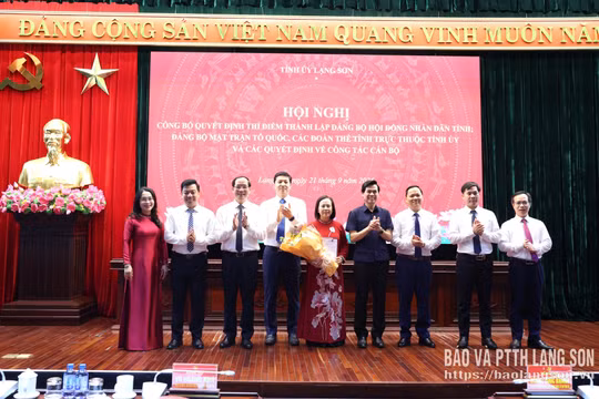 Lạng Sơn: Thí điểm thành lập 2 đảng bộ cơ sở trực thuộc Tỉnh ủy 