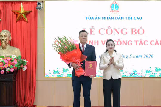 Ông Mai Anh Tài giữ chức Chánh án Toà án nhân dân tỉnh Ninh Bình
