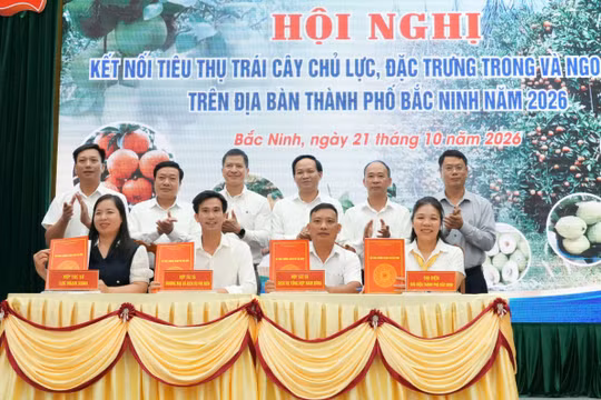 Bắc Ninh kết nối tiêu thụ hơn 118.500 tấn trái cây chủ lực