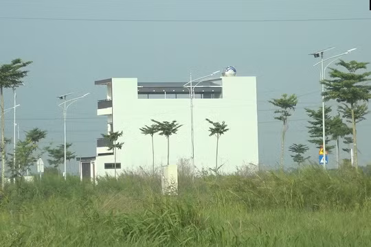 Quỳnh Phụ (Hưng Yên): Hàng loạt lô đất đấu giá bị bỏ hoang, cỏ dại phủ kín khu dân cư