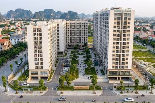 Ninh Bình: Chấp thuận chủ trương đầu tư dự án nhà ở xã hội Tây Phù Vân hơn 329 tỷ đồng