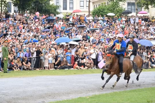 Chuỗi hoạt động văn hóa, thể thao, du lịch đặc sắc tại Festival mùa Hè Bắc Hà 2026 