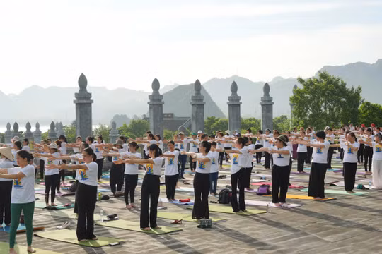 Gần 400 người tham gia đồng diễn Yoga tại chùa Tam Chúc