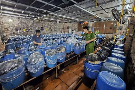 Bắc Ninh: Khởi tố 3 chủ cơ sở sản xuất gần 1.000 tấn giá đỗ ngâm hóa chất 6-BAP