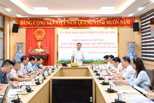 Tuyên Quang đặt mục tiêu giảm thêm 200 tỷ đồng nợ thuế trong những tháng cuối năm