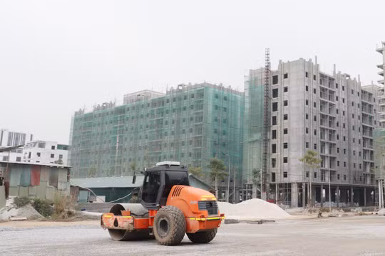 Chủ tịch Hội Môi giới bất động sản kêu gọi doanh nghiệp 'quan tâm' tới nhà ở giá hợp lý