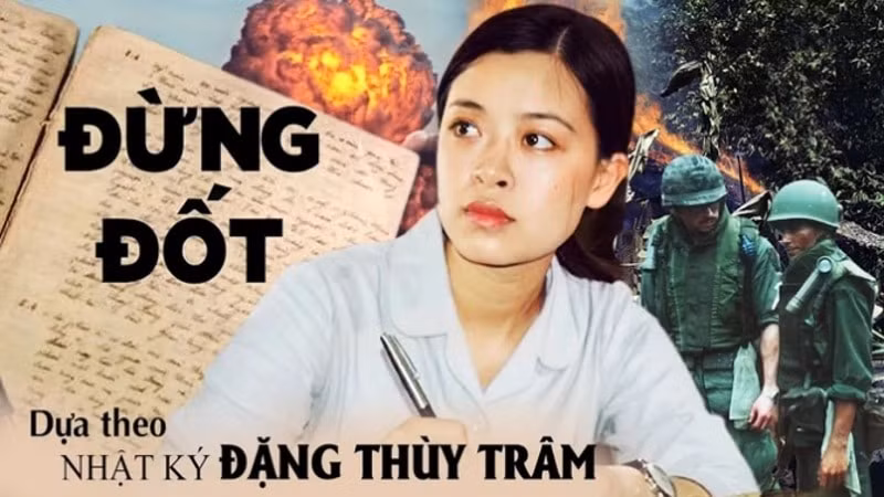 63 phim tham du lien hoan phim chau a da nang 2024 hinh 2
